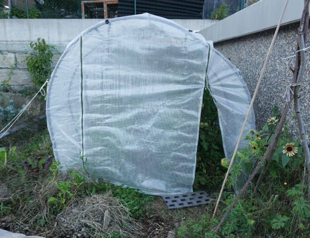 Reason to build a greenhouse