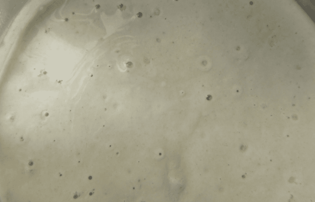 Sourdough starter in the jar bubbling
