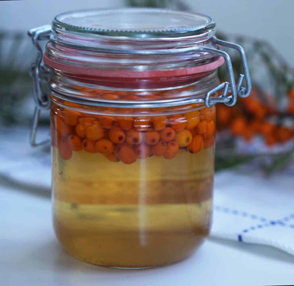 Top 10 Sea buckthorn Recipes