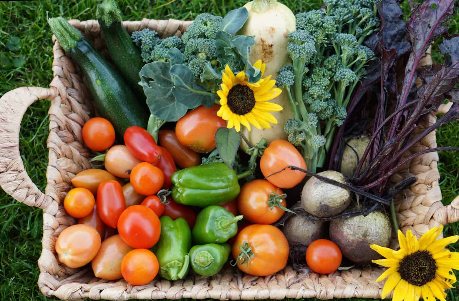Tips to eat organic on budget