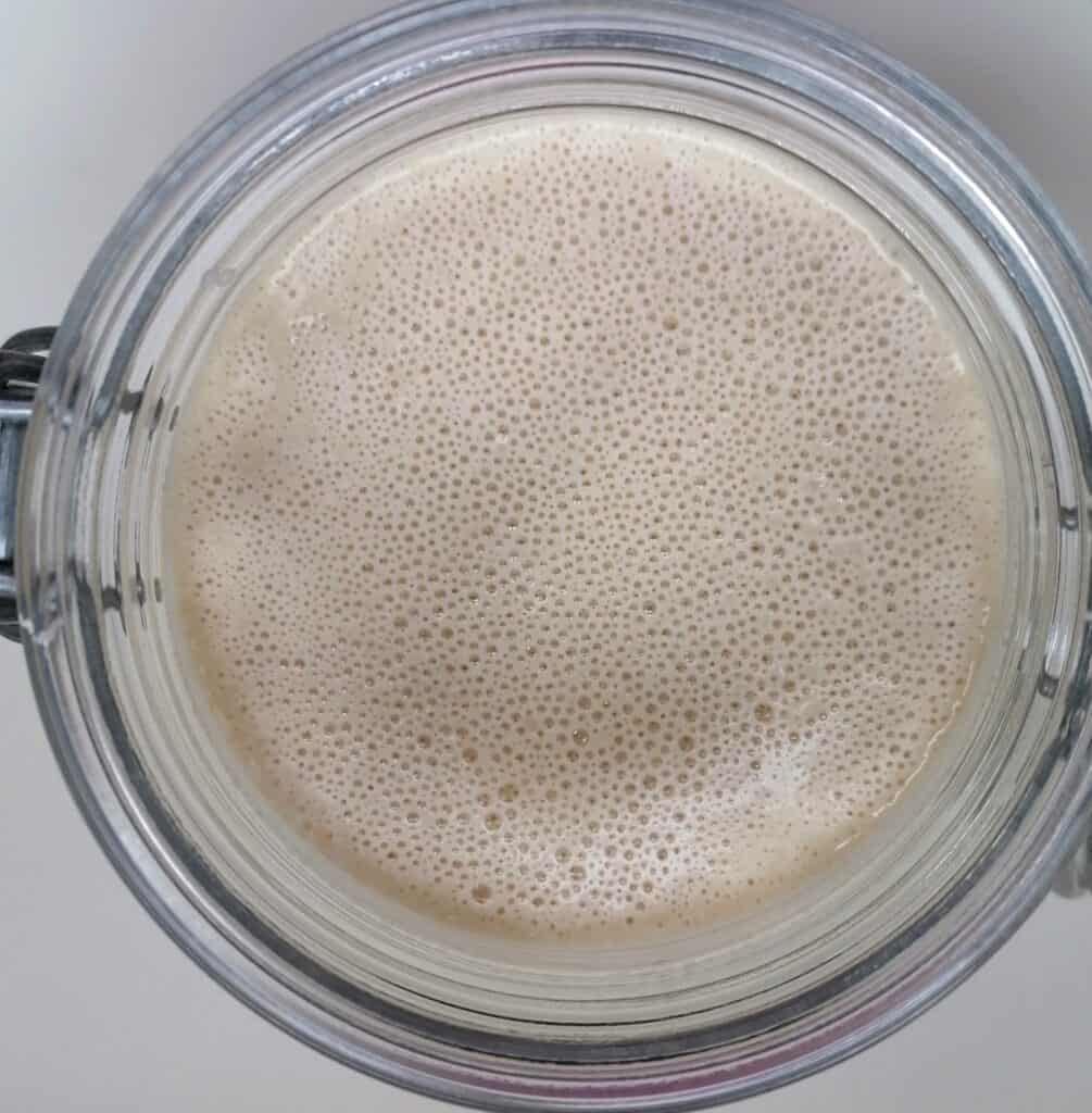 Spelt Sourdough starter