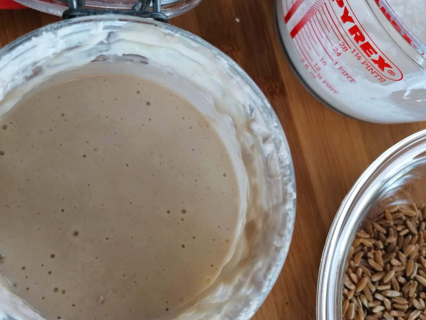 Sourdough starter