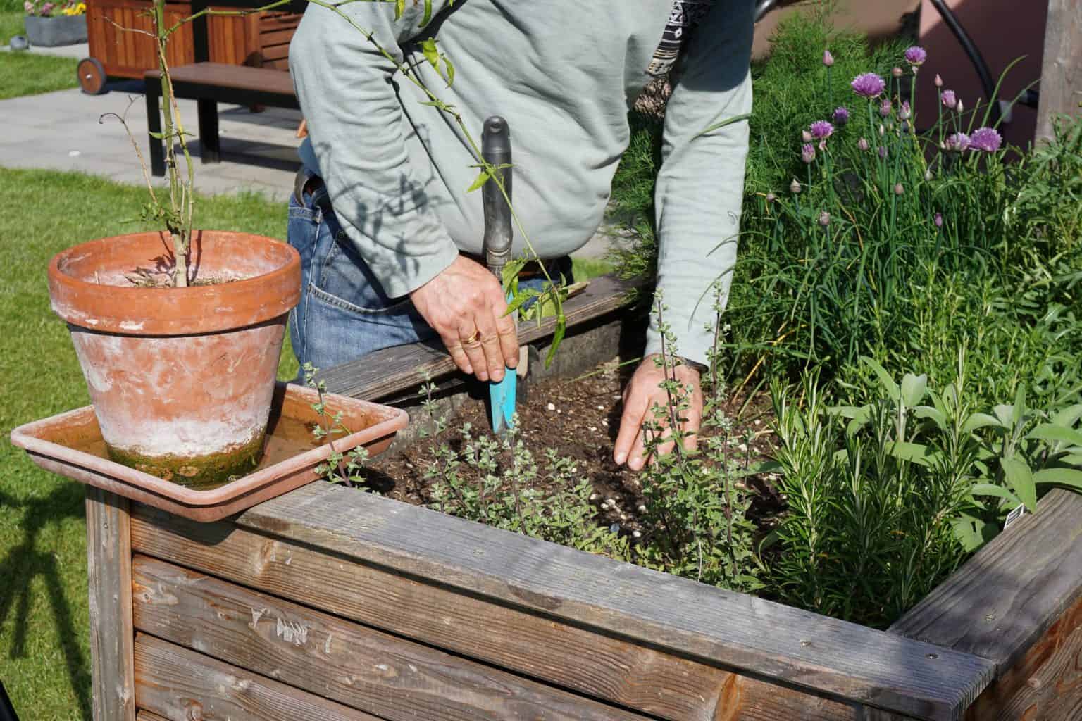 Tips to start a garden