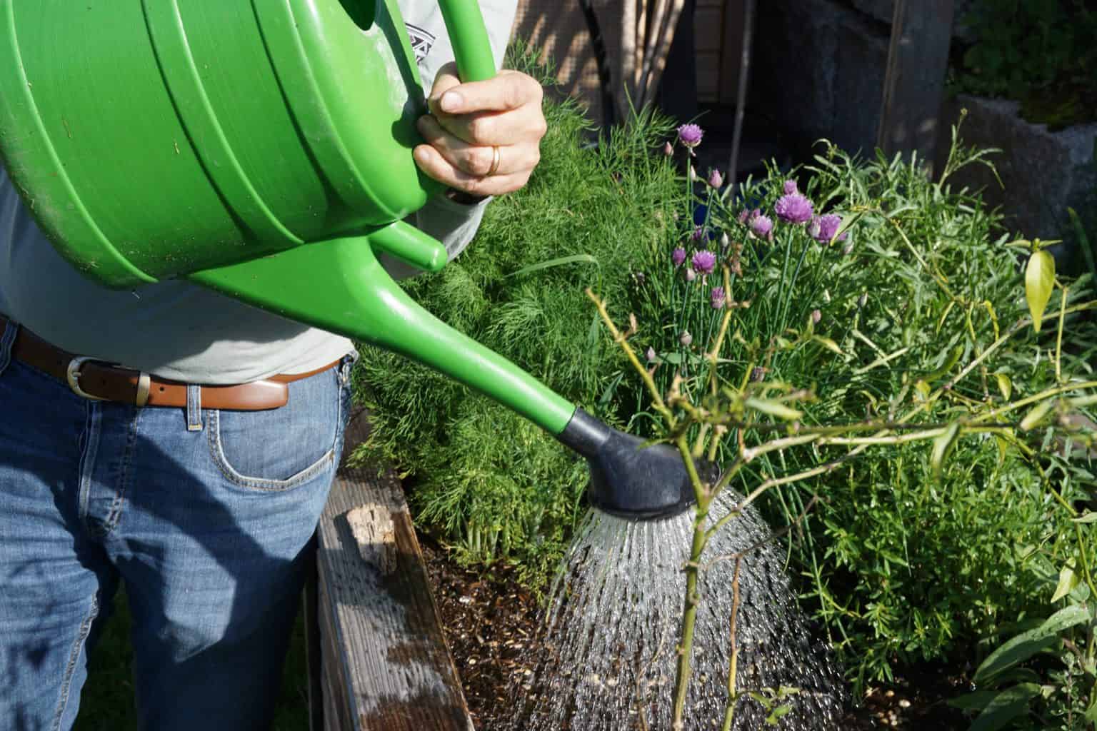 Tips to start a garden