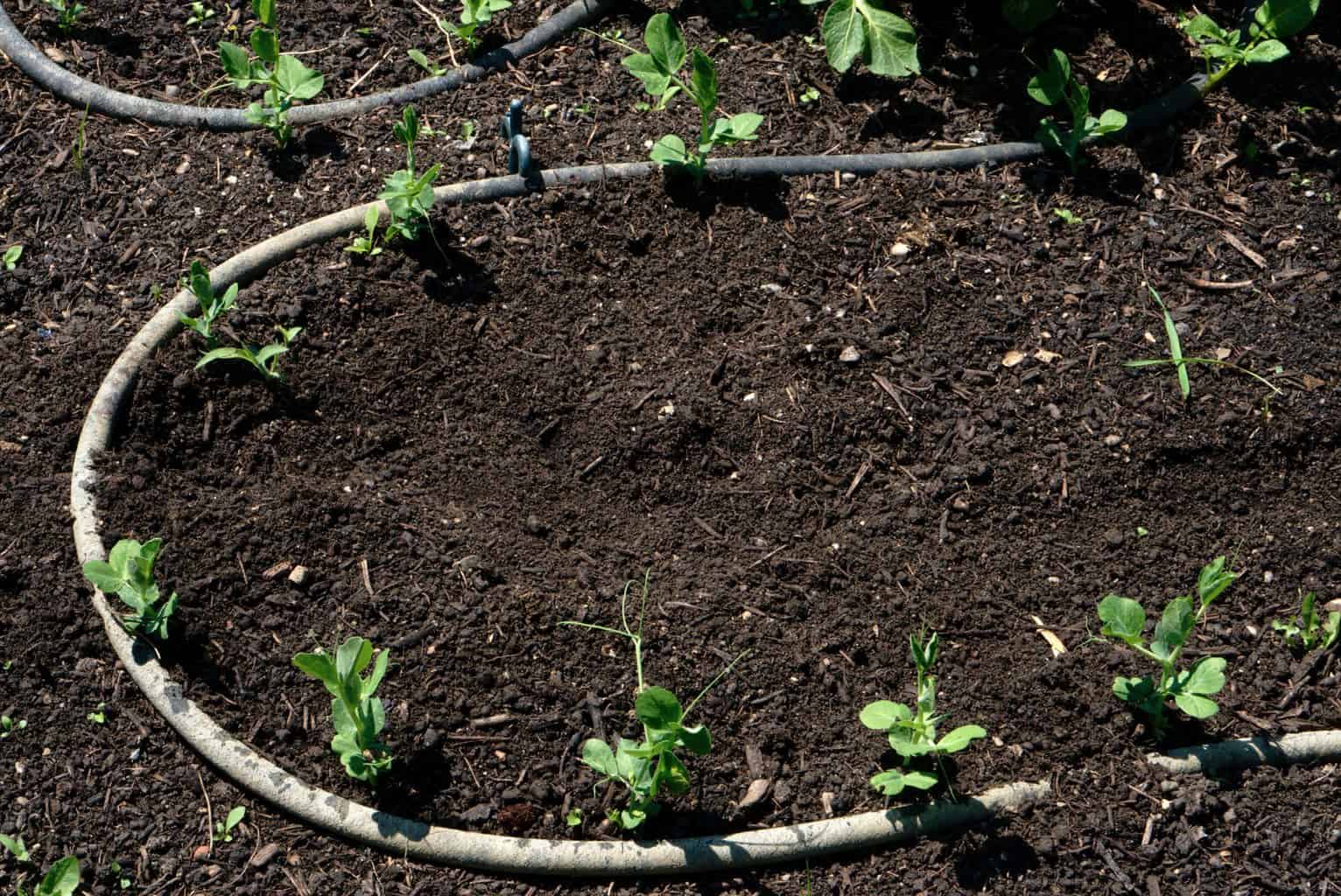 Snip & Drip Irrigation System