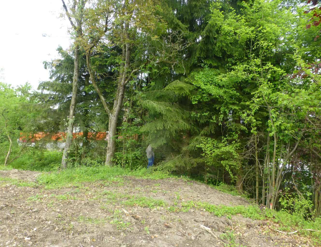 Tips to start a garden
