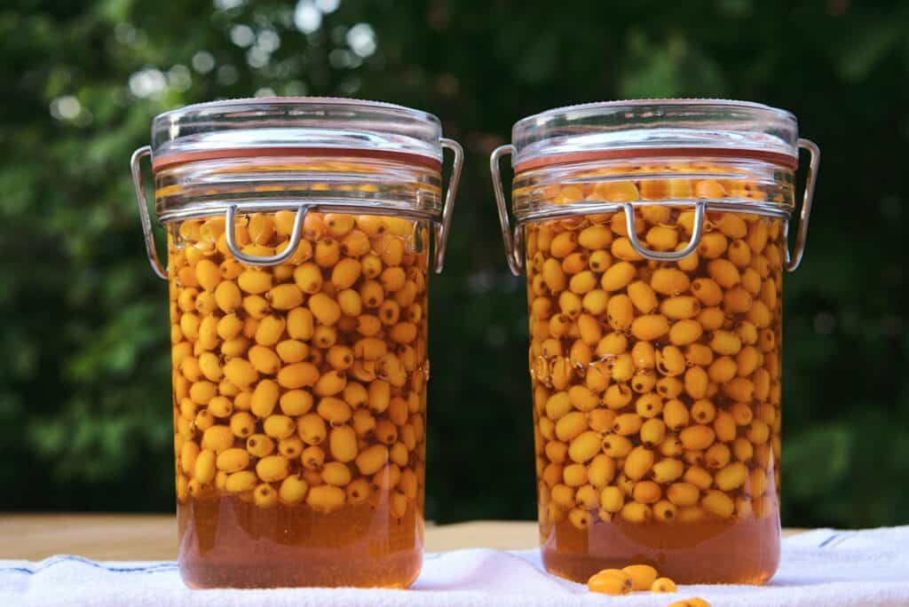 Sea Buckthorn in honey