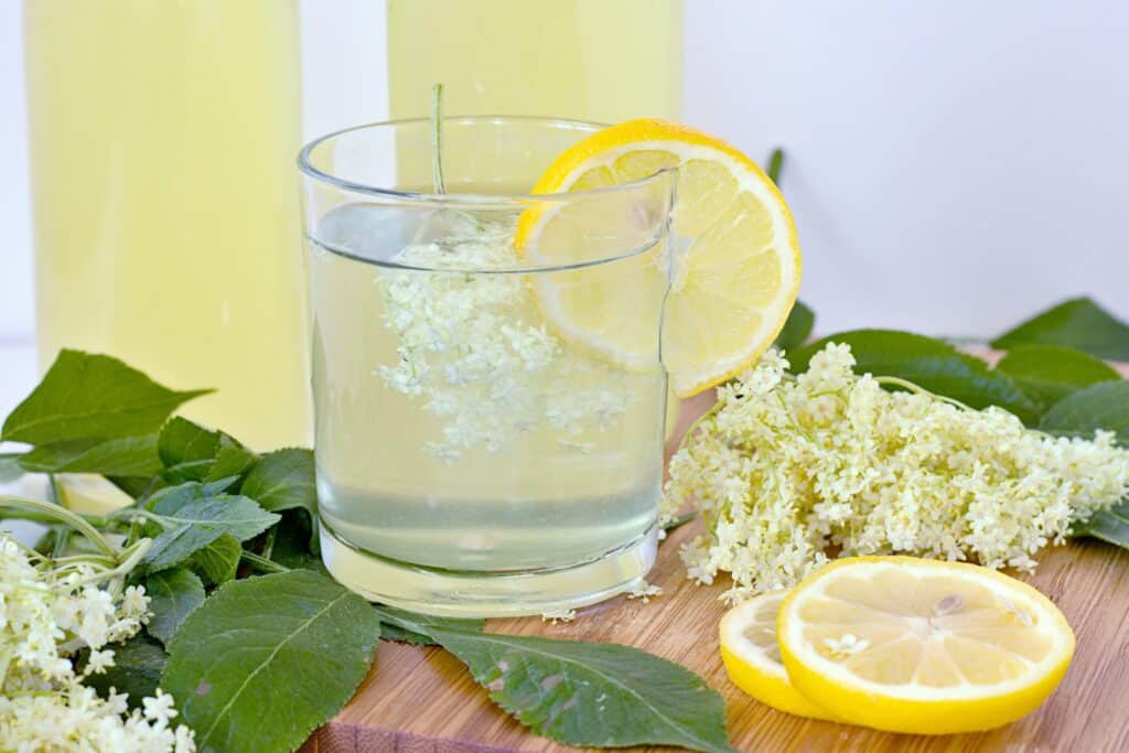 Elderflower Cordial Recipe