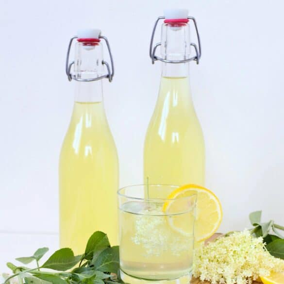 Elderflower Cordial Recipe