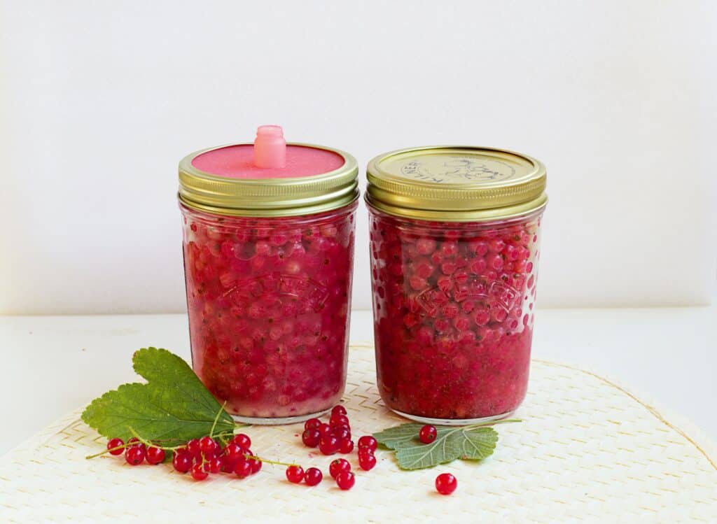 Lacto Fermented Red Currants