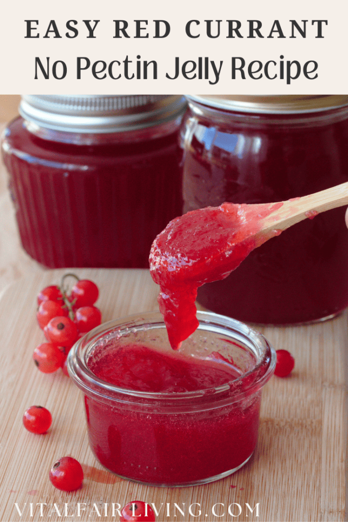 Red Currant Jelly
