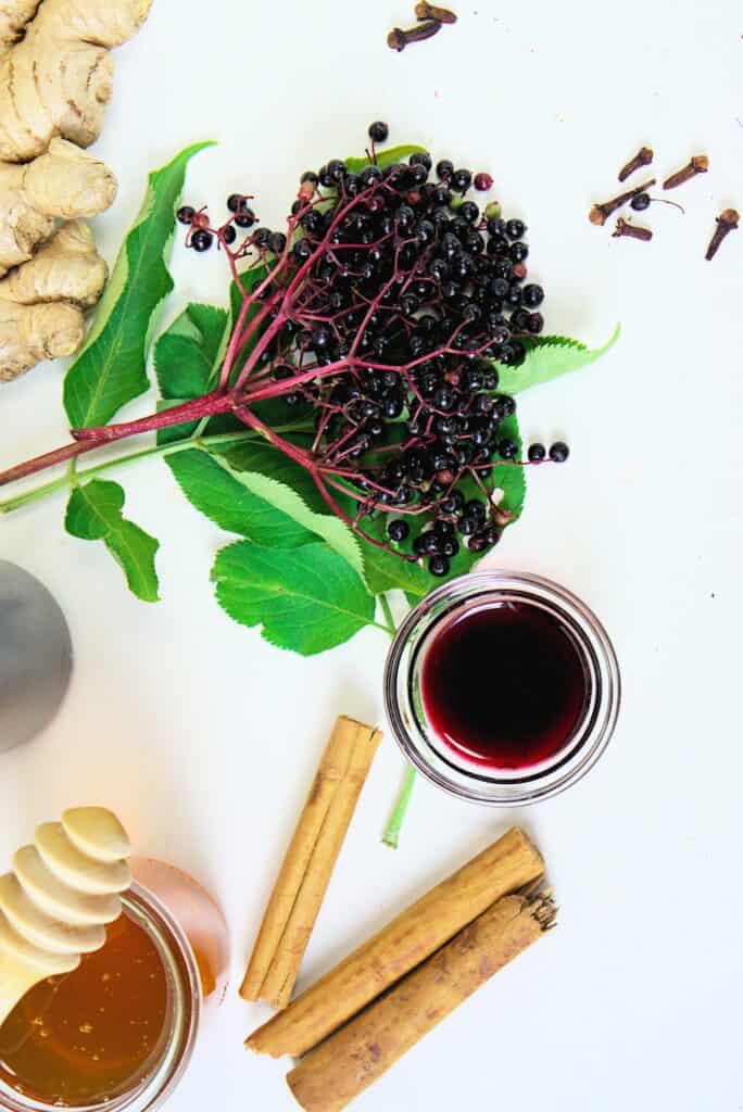 Elderberry Syrup Ingredients