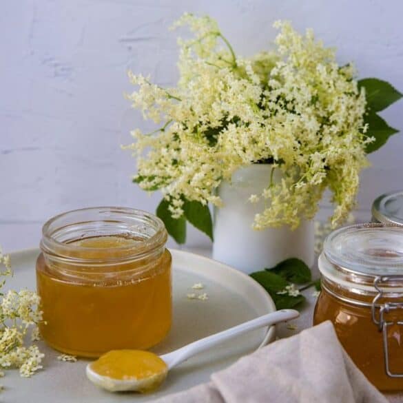 Easy Elderflower Jelly Recipe